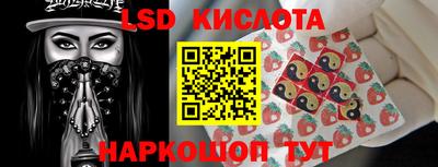 индика Заводоуковск