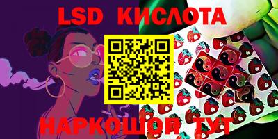 крисы Апшеронск