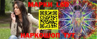 индика Заводоуковск