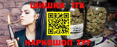 индика Заводоуковск