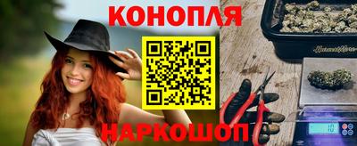 индика Заводоуковск