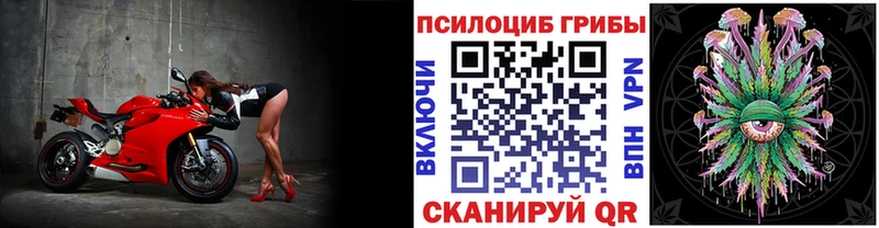 купить наркотики сайты  Новомосковск  Псилоцибиновые грибы мицелий 