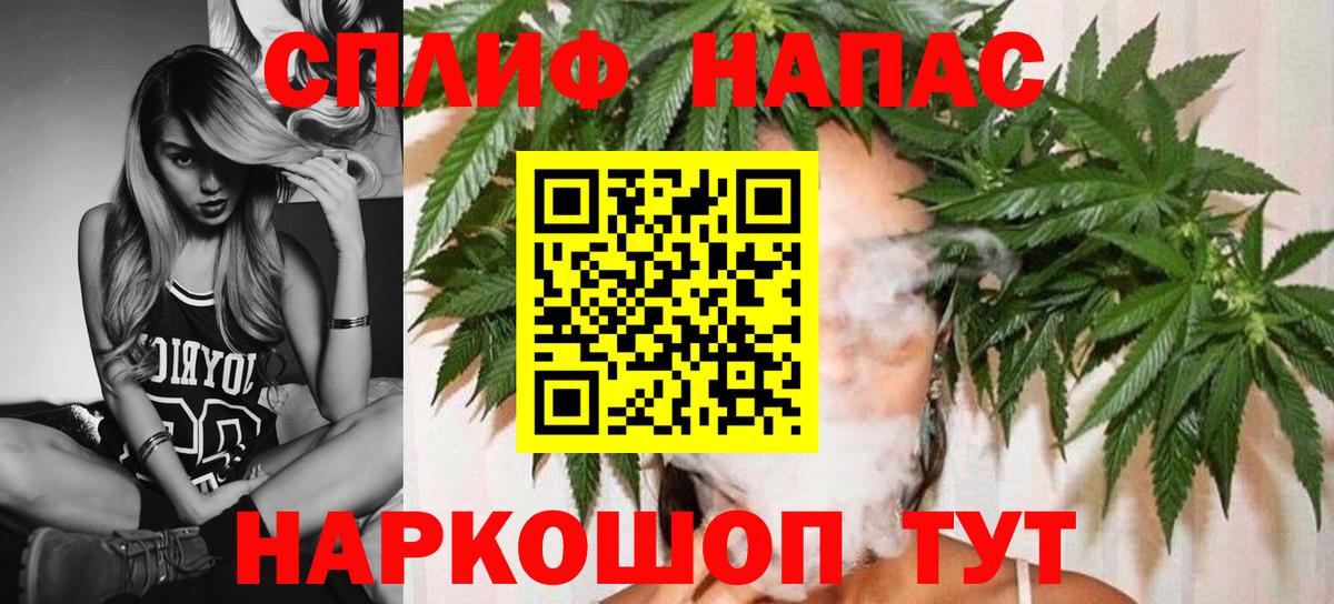 Канабис семена Новомосковск